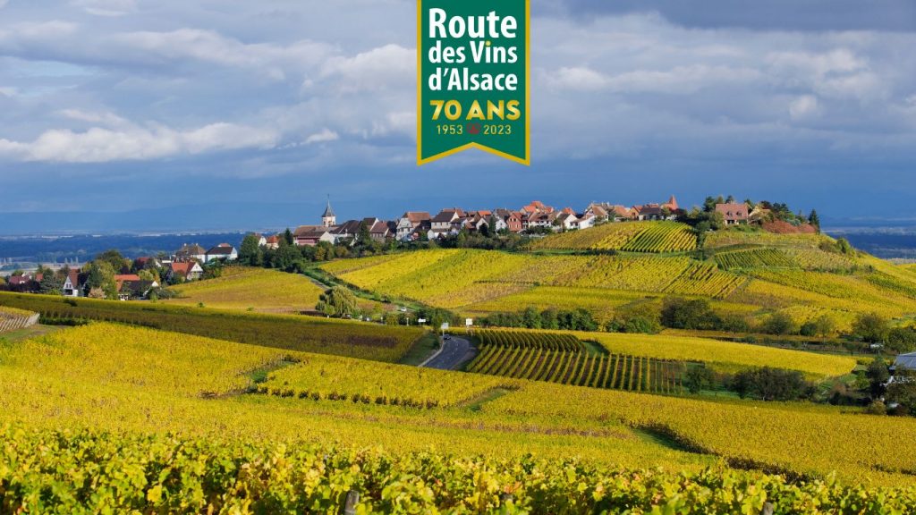 En 2023, la Route des Vins d'Alsace fête ses 70 ans
